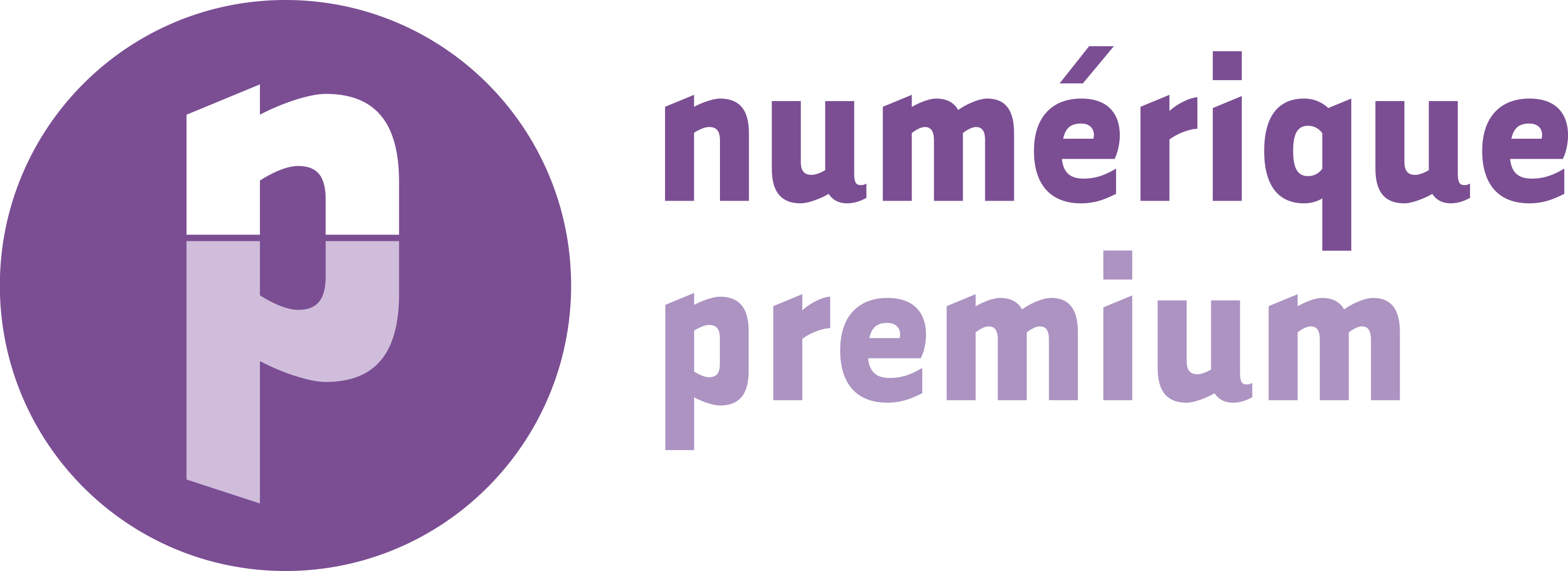 Logo numerique premium